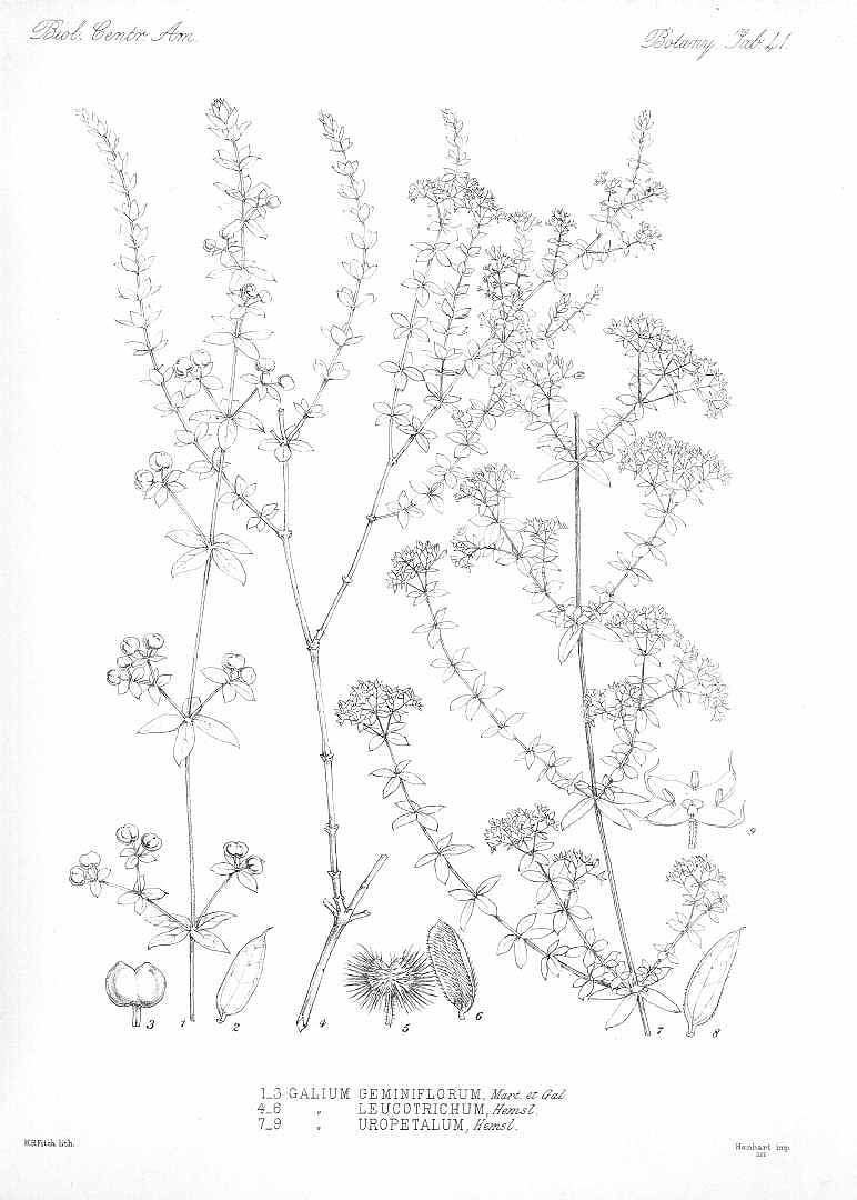 no HD illustration available (3)