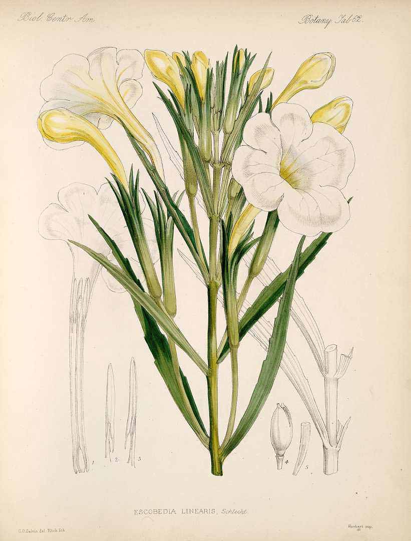 no HD illustration available (3)