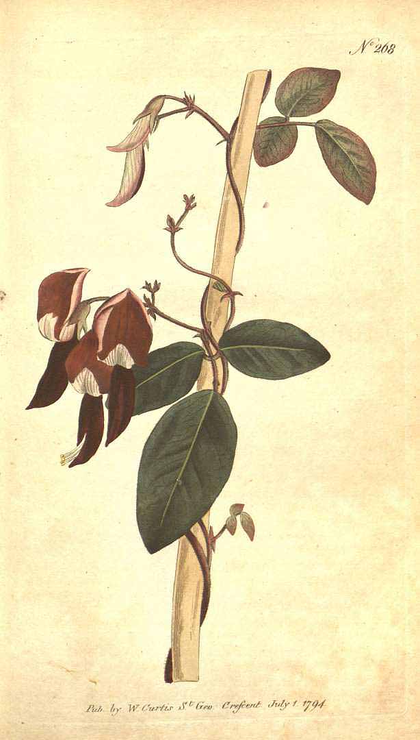 no HD illustration available (3)