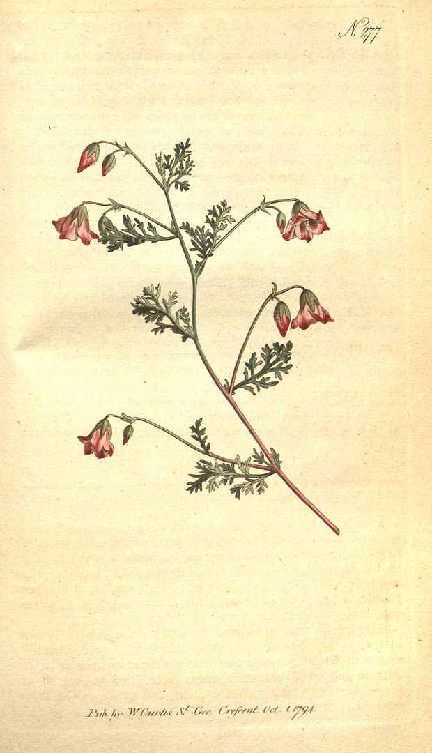 no HD illustration available (3)