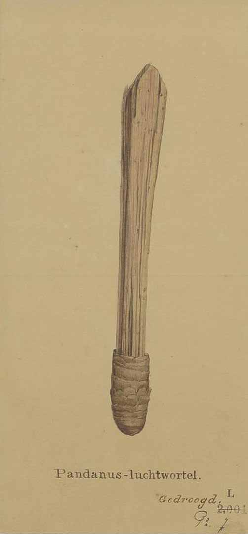 no HD illustration available (3)