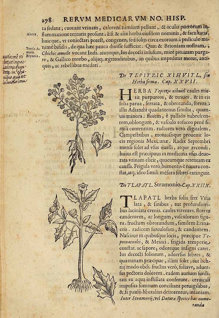 no HD illustration available (3)