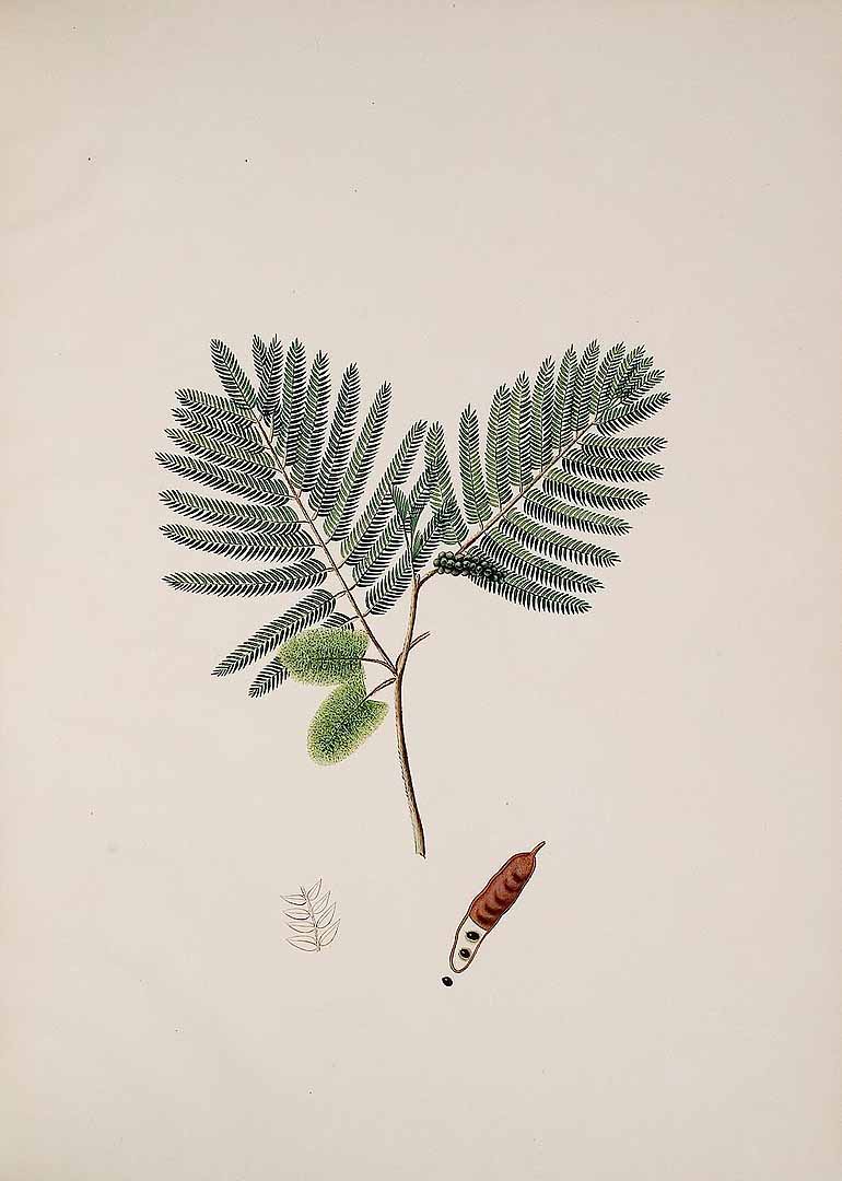 no HD illustration available (3)