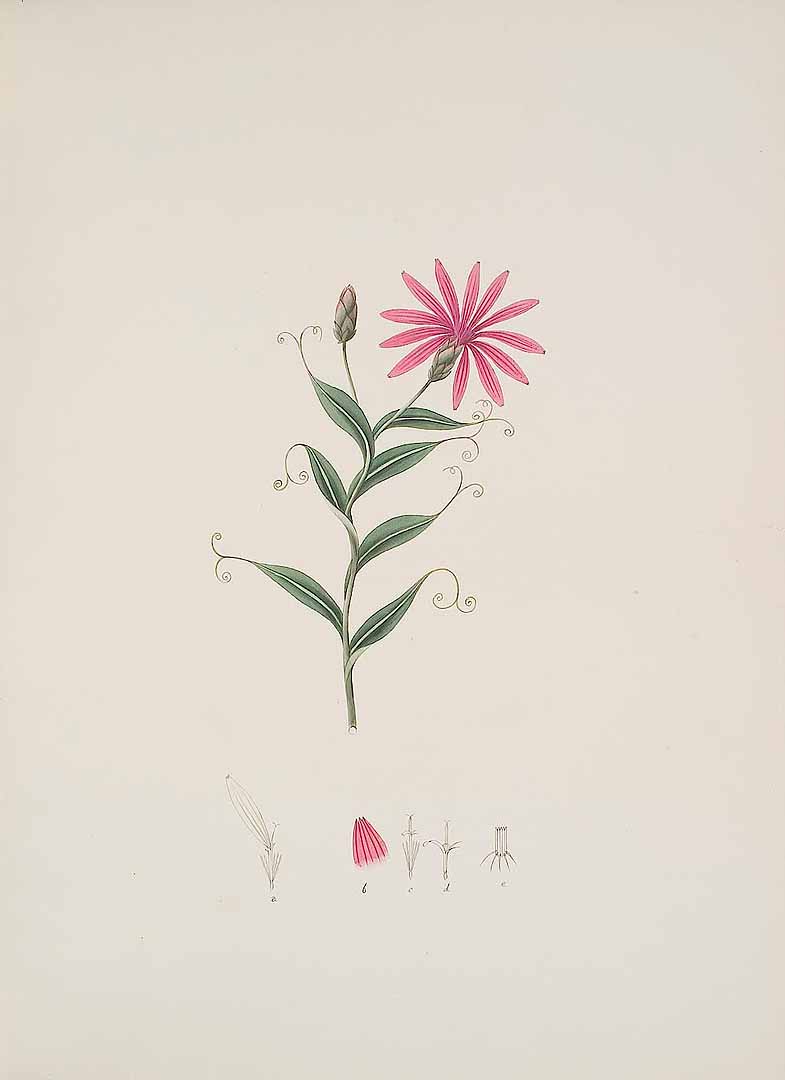 no HD illustration available (3)