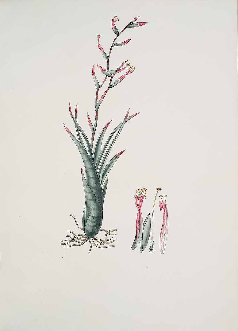 no HD illustration available (3)