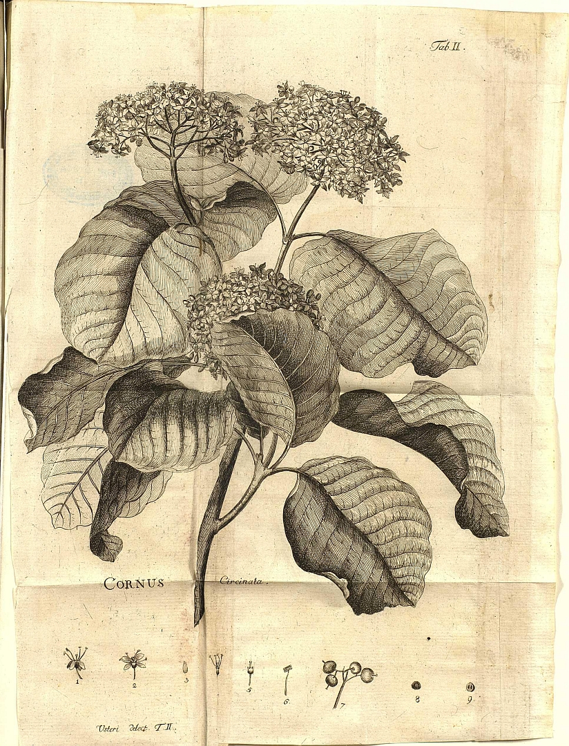 no HD illustration available (3)