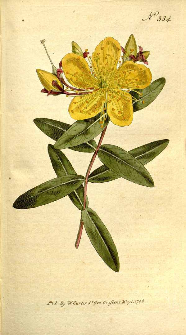 no HD illustration available (3)