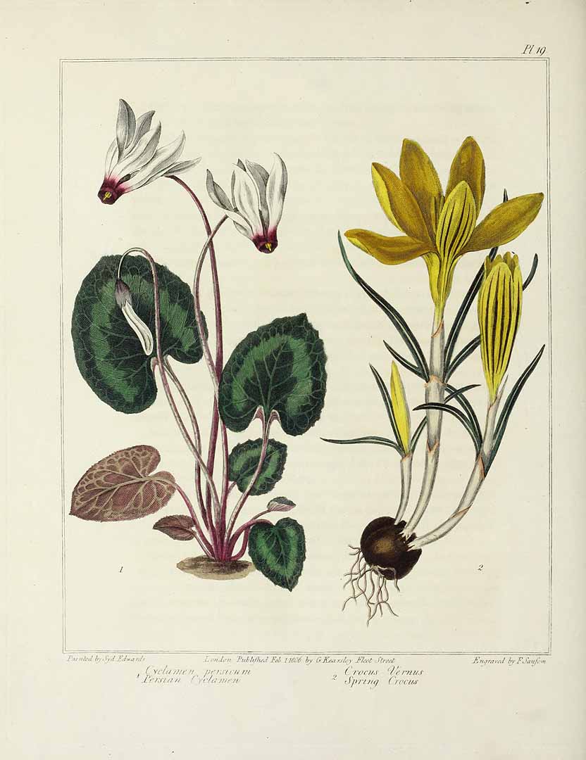 no HD illustration available (3)