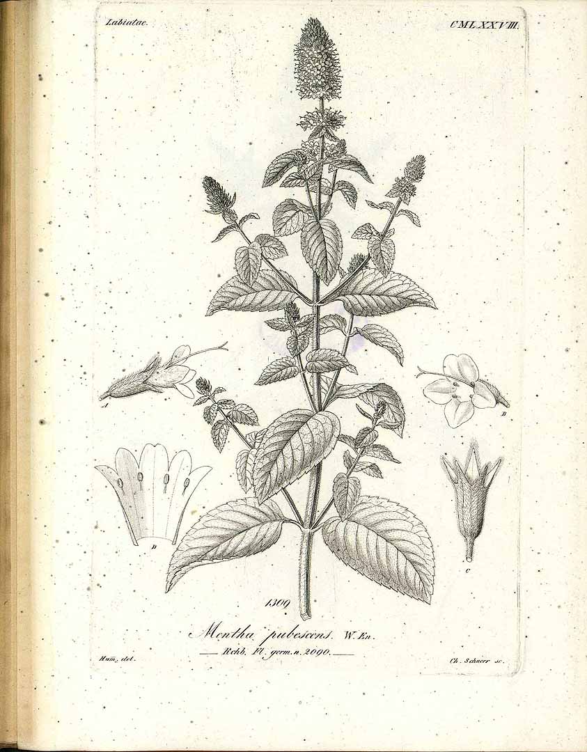 no HD illustration available (3)