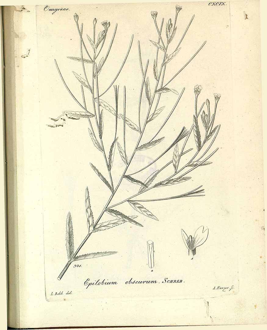 no HD illustration available (3)