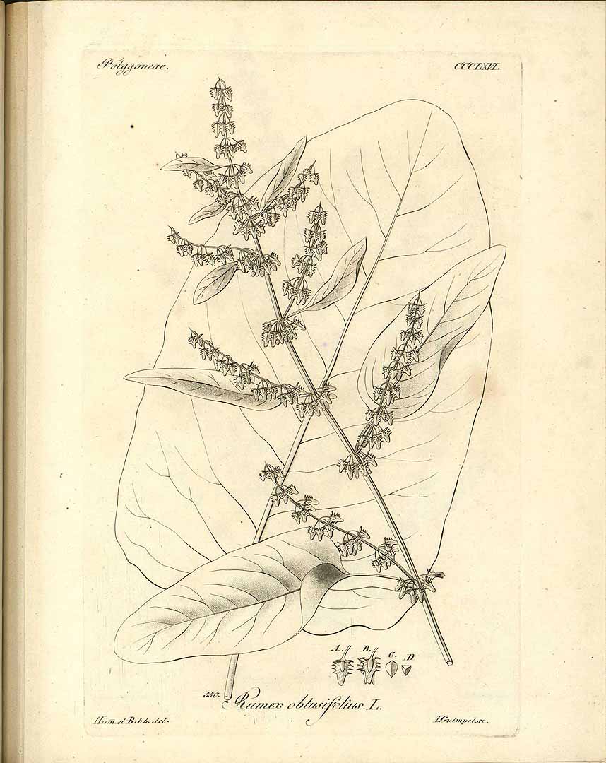 no HD illustration available (3)