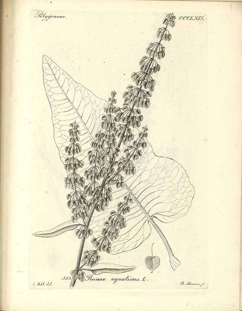 no HD illustration available (3)