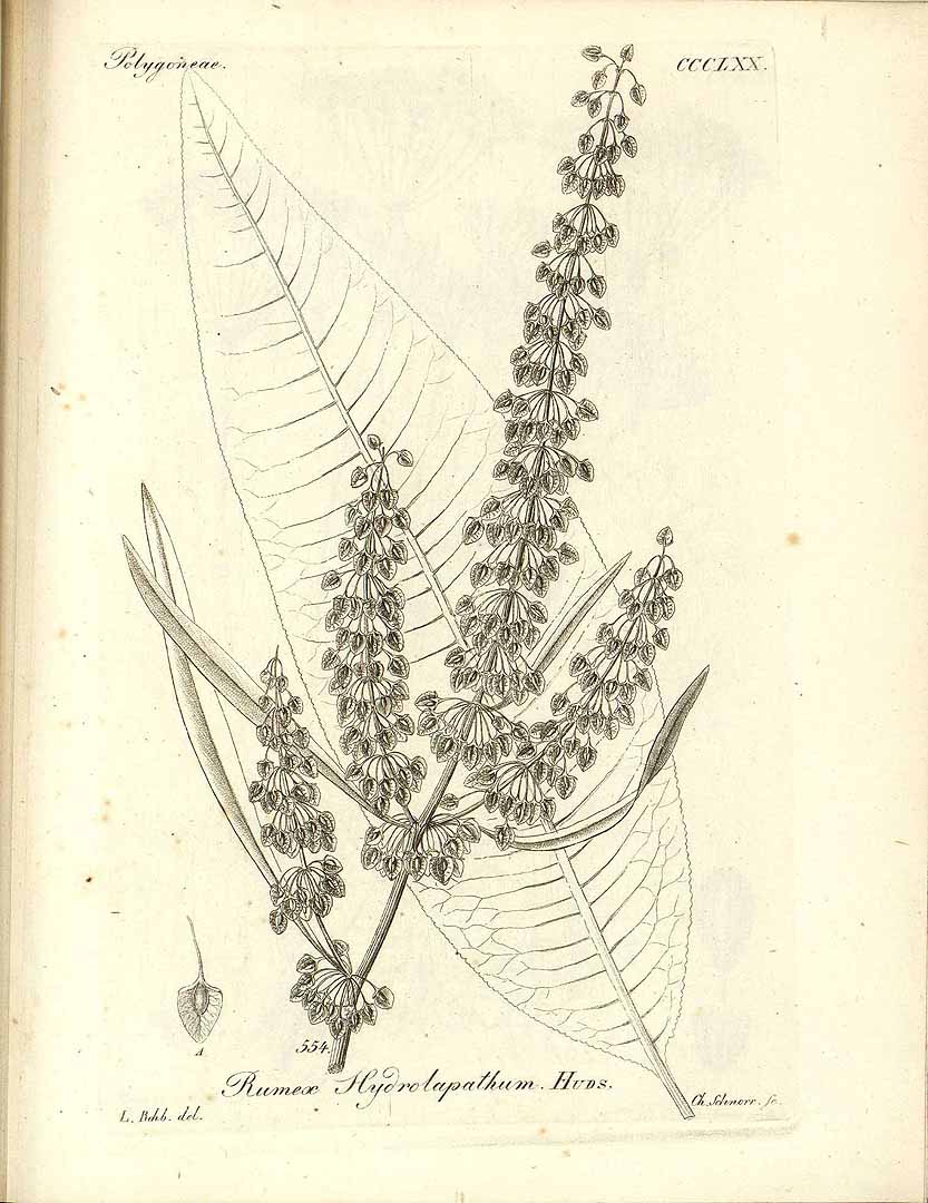 no HD illustration available (3)