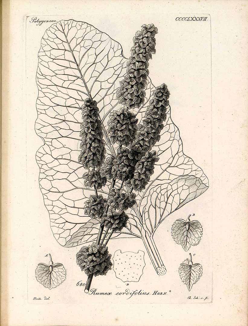 no HD illustration available (3)