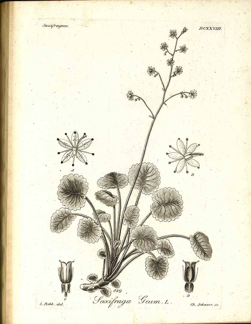 no HD illustration available (3)