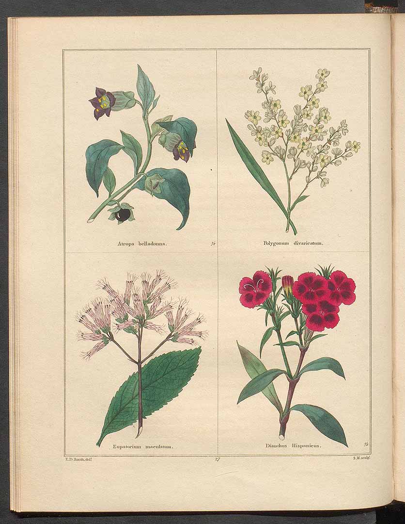 no HD illustration available (3)