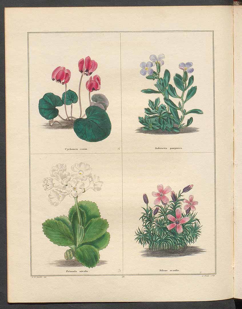 no HD illustration available (3)