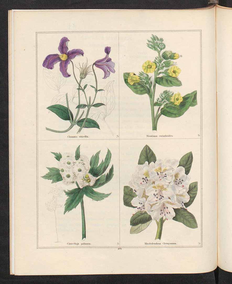 no HD illustration available (3)