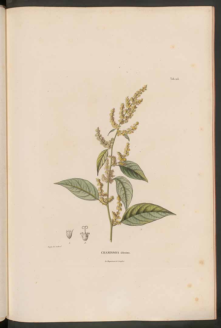 no HD illustration available (3)