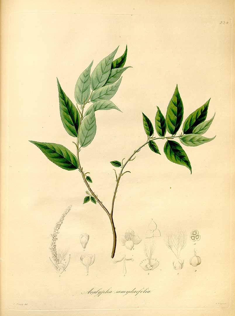 no HD illustration available (3)