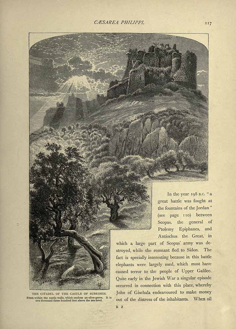 no HD illustration available (3)