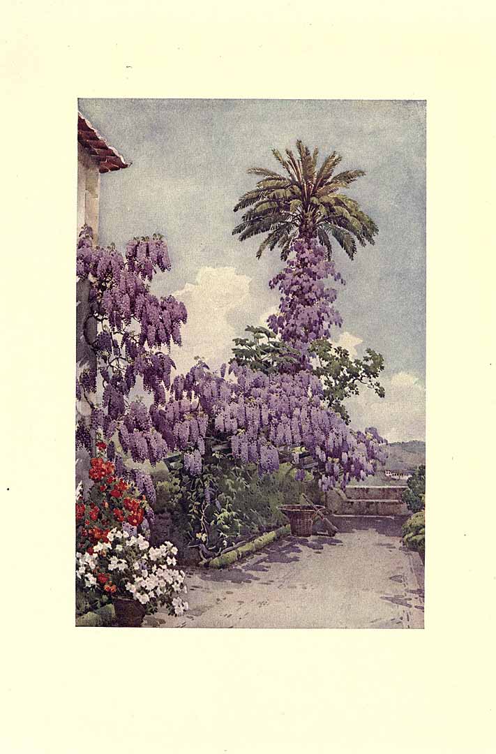 no HD illustration available (3)