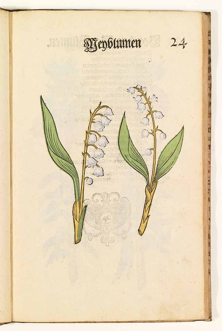 no HD illustration available (3)