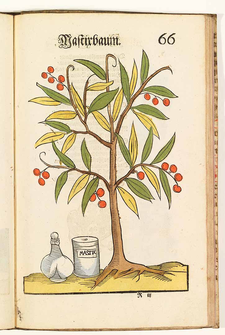 no HD illustration available (3)