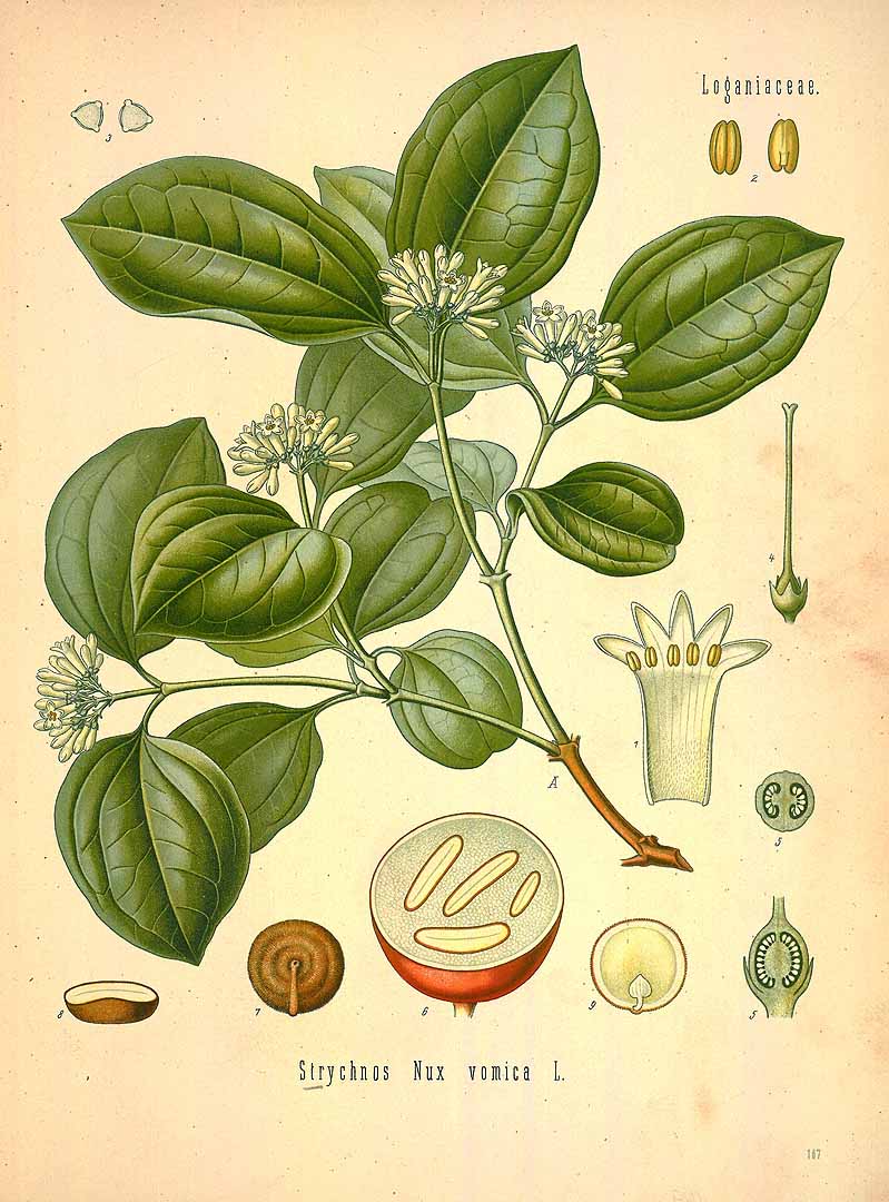 no HD illustration available (3)