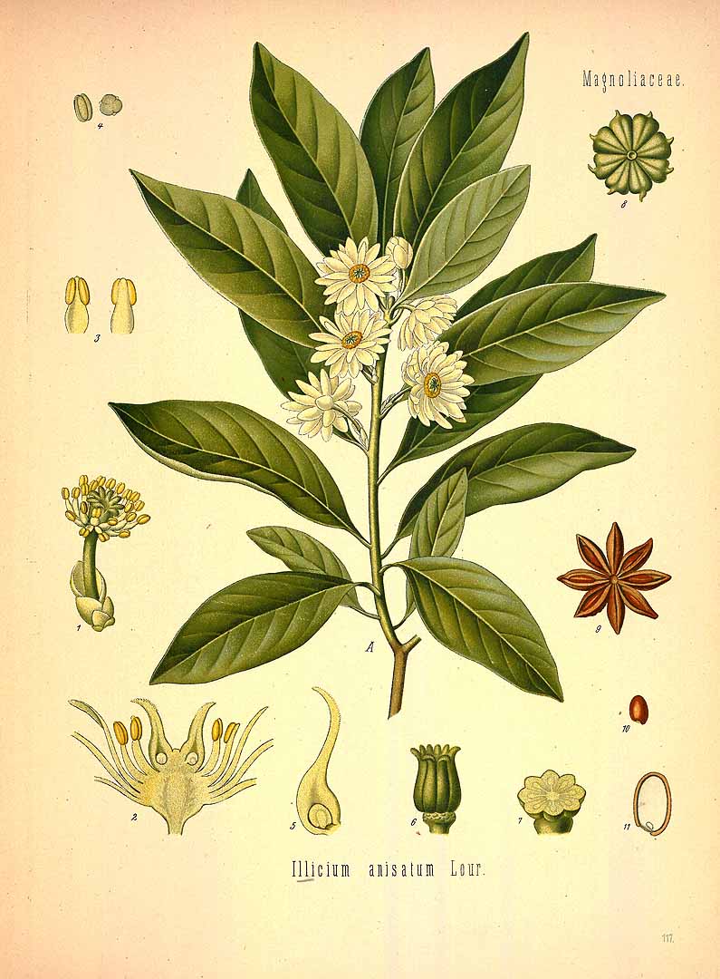 no HD illustration available (3)