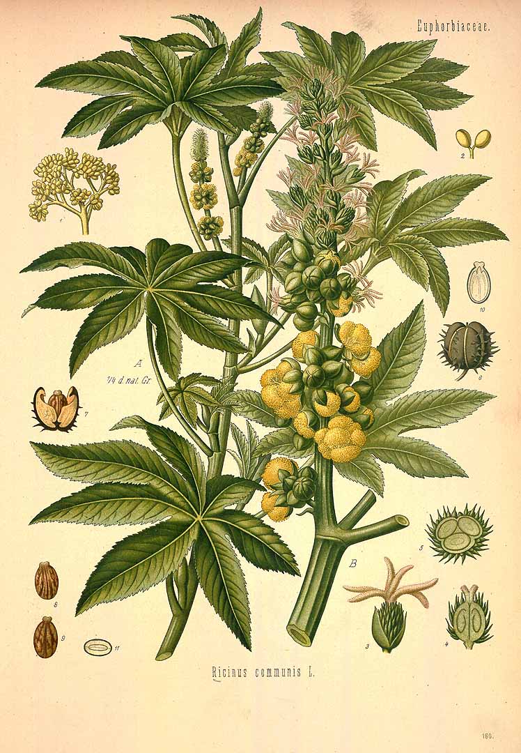 no HD illustration available (3)