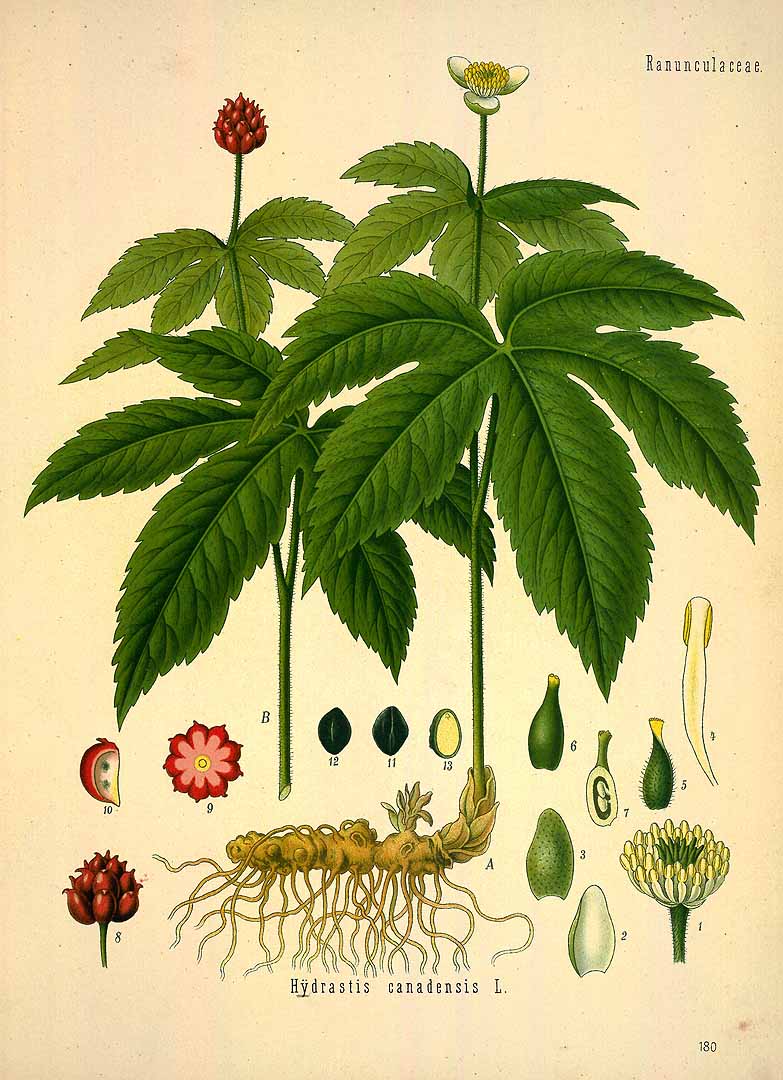 no HD illustration available (3)