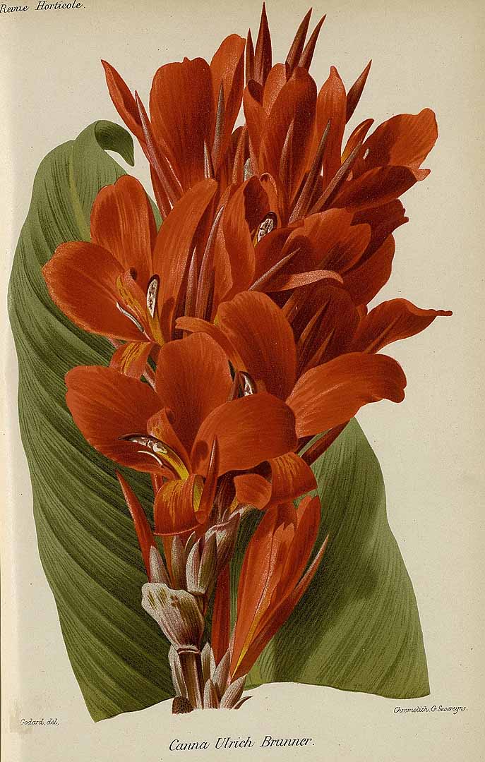 no HD illustration available (3)