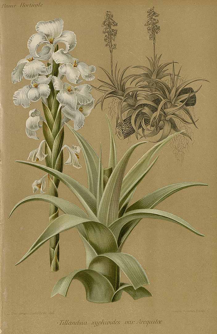 no HD illustration available (3)