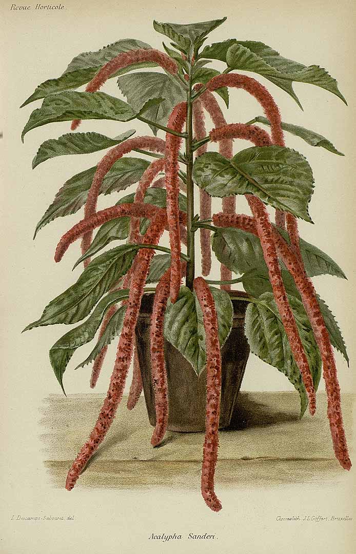 no HD illustration available (3)