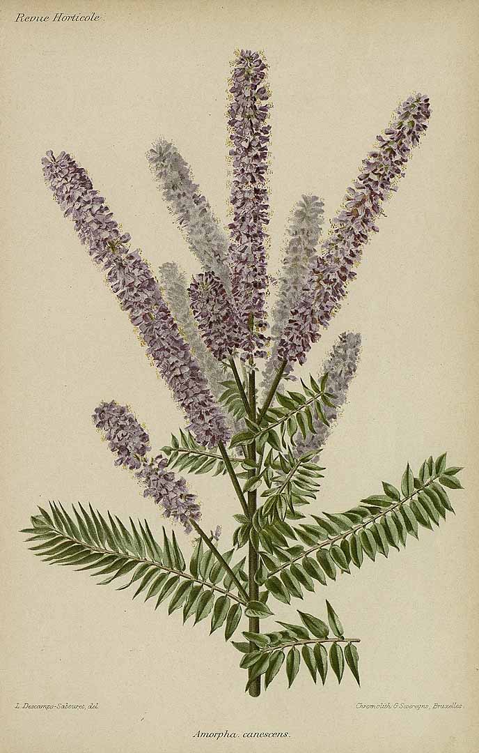 no HD illustration available (3)