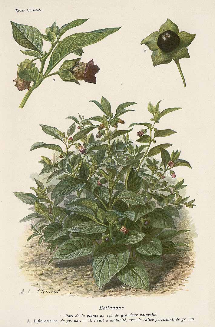 no HD illustration available (3)