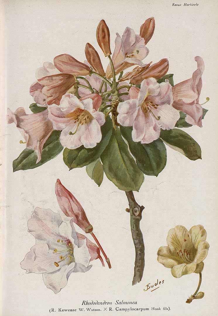 no HD illustration available (3)