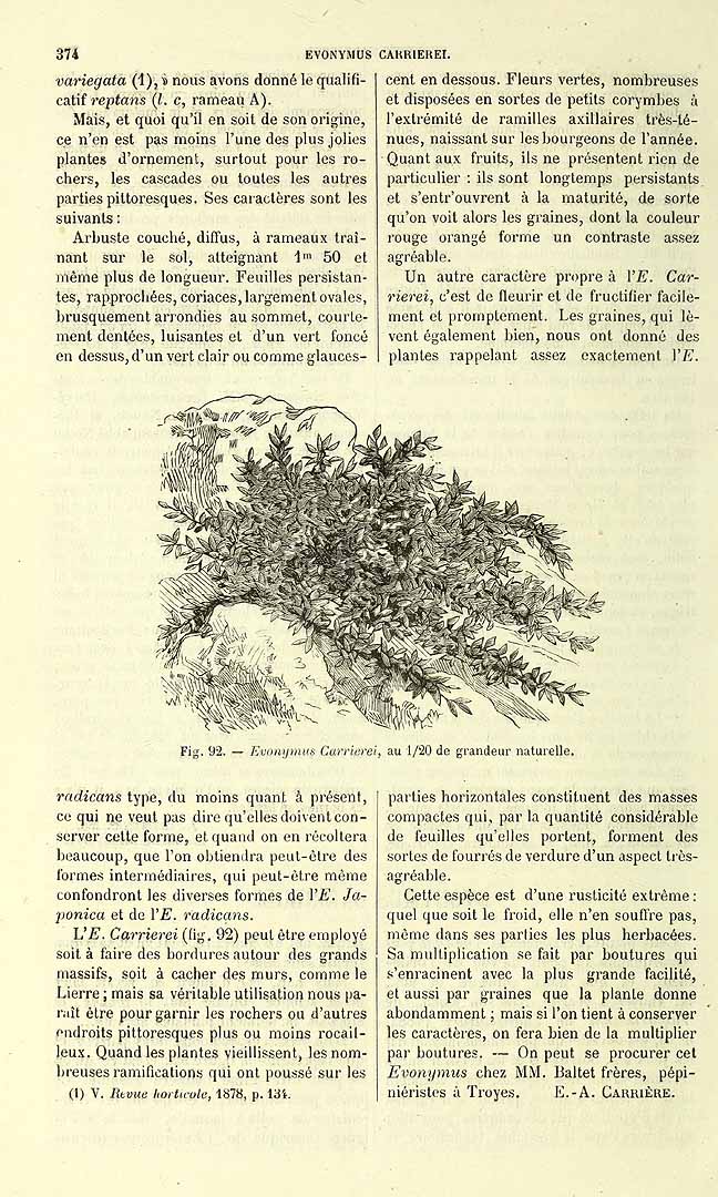 no HD illustration available (3)