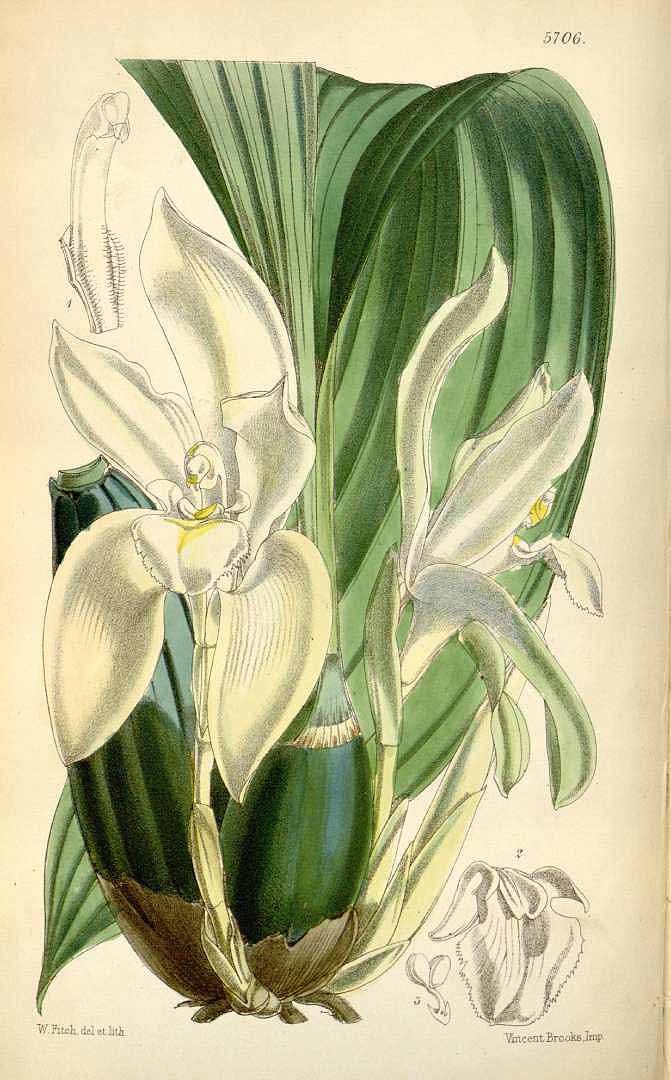 no HD illustration available (3)