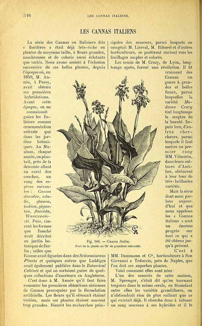 no HD illustration available (3)