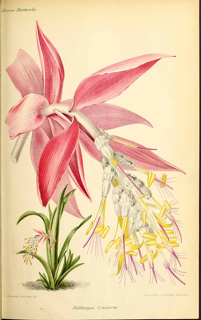 no HD illustration available (3)