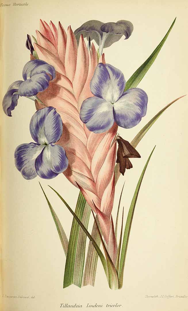 no HD illustration available (3)