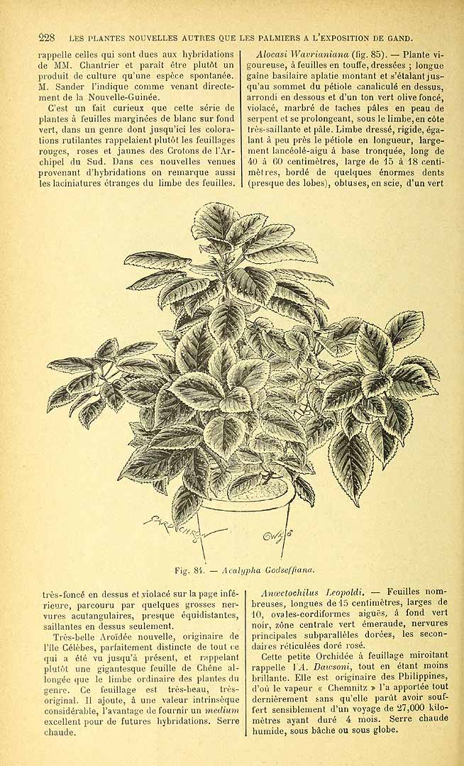 no HD illustration available (3)