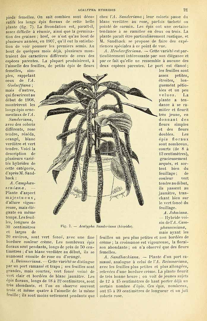 no HD illustration available (3)