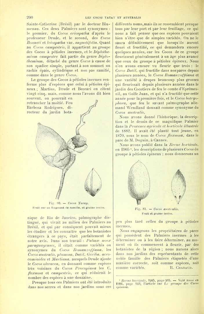 no HD illustration available (3)