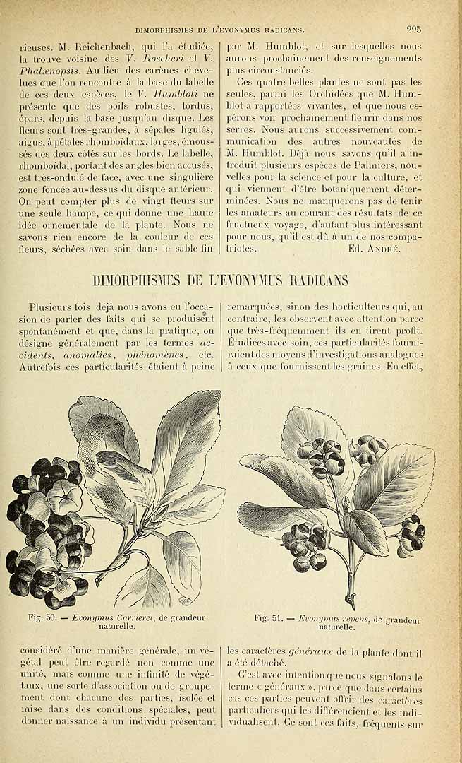 no HD illustration available (3)