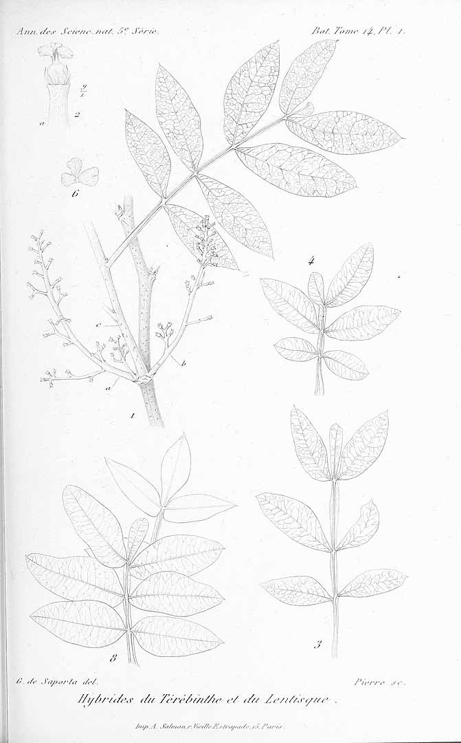 no HD illustration available (3)