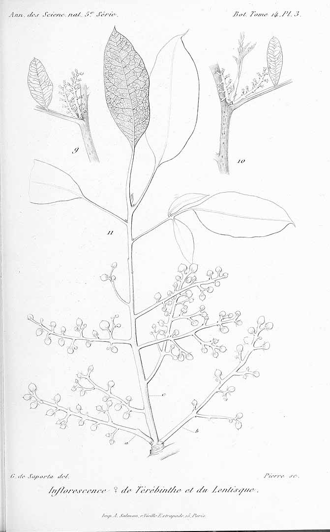 no HD illustration available (3)