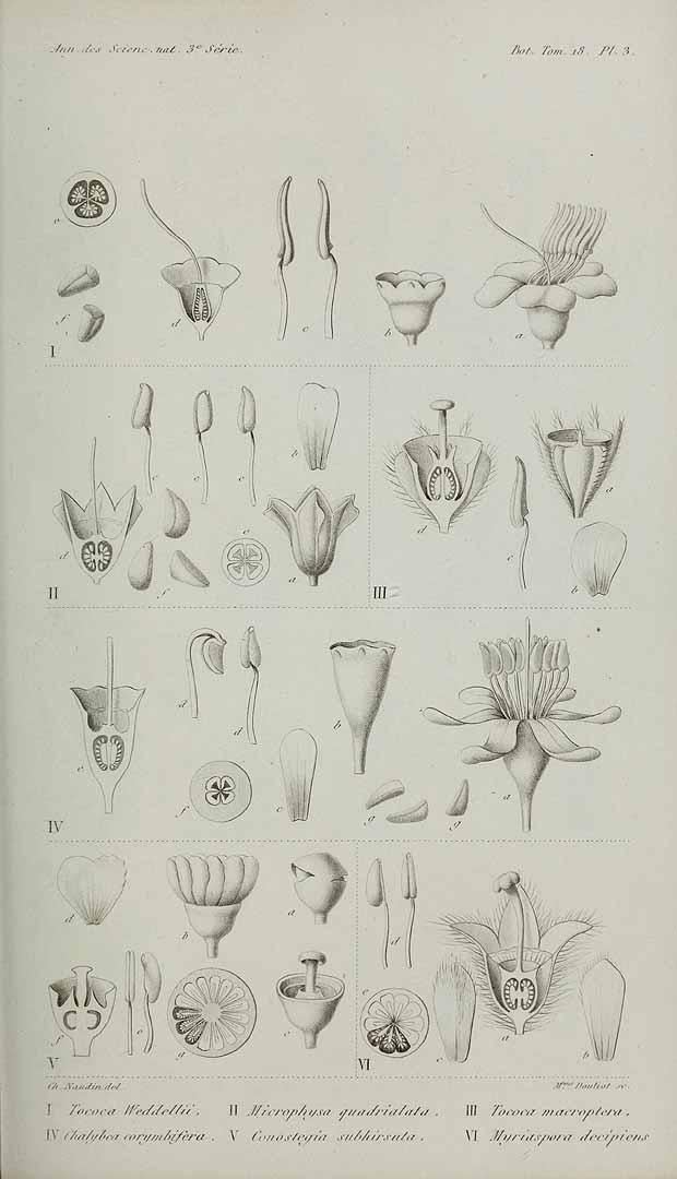 no HD illustration available (3)